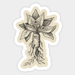 What is Your Favorite Plant? Mandrake, Maybe? Sticker